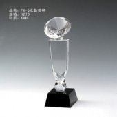 FX-5展览会水晶奖杯