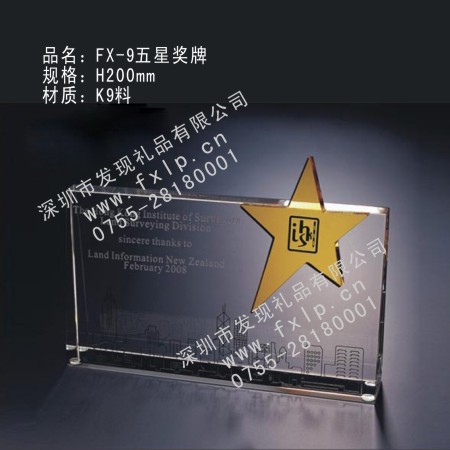 FX-9五星奖牌 