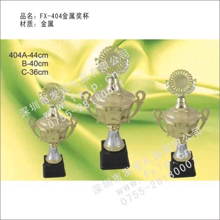 FX-404金属奖杯 