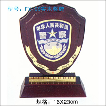 FX-09奖牌 