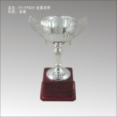 FX-P629金属奖杯