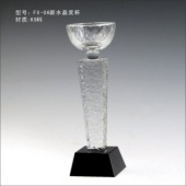 FX-06新水晶奖杯