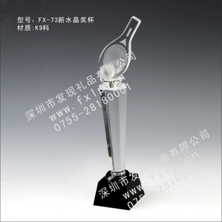 FX-73新水晶奖杯 